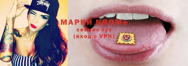МДПВ Инсар