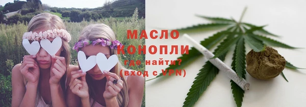 МДПВ Инсар