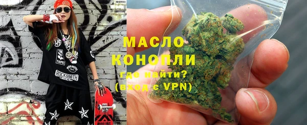 МДПВ Инсар