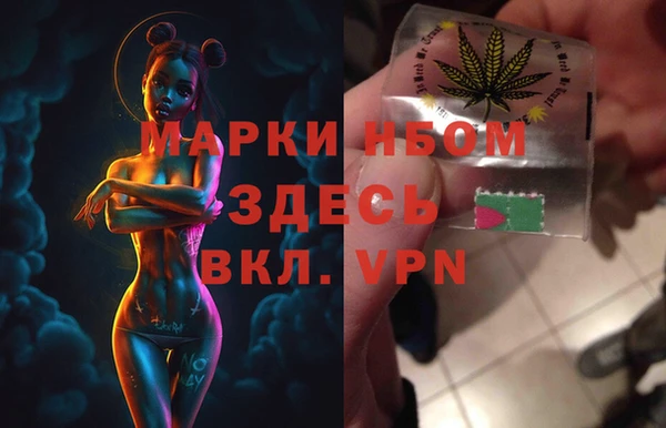 МДПВ Инсар
